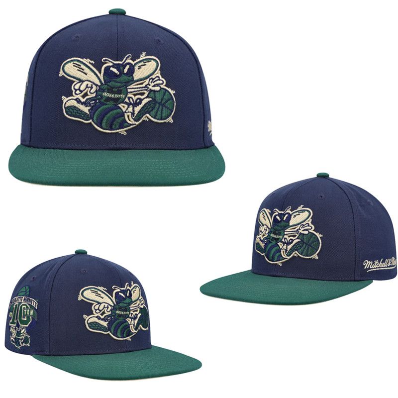 2025 NBA Charlotte Hornets Hat TX20250307->nba hats->Sports Caps